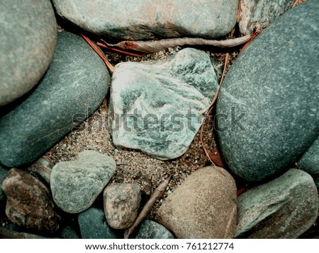 Background from a fragment of a pebbly beach with gray stones of different sizes, earth and dry leaves close-up on a cloudy day.