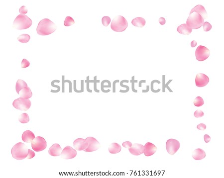 Flying Rose Petals Confetti. Vector Realistic Blossom Illustration. Love, Wedding, Valentine Decoration, Japanese Sakura Ornament. Falling Down Rose Petals Confetti, Magic Showering Floral Background.