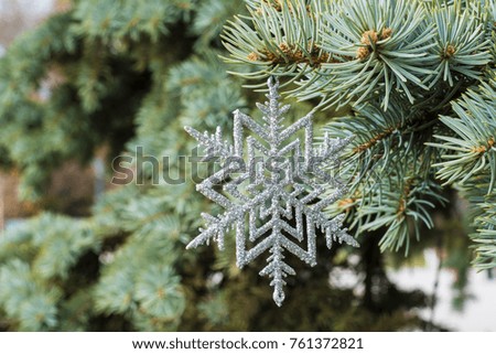 Christmas Decorative Star hanging on a Pine Tree Branch