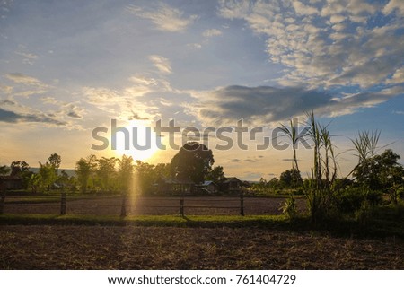 a front selective focus picture of agriculture farm with cottage houses at background.