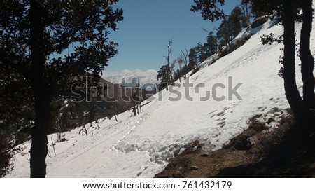 MOUNTAIN SNOW FIELD