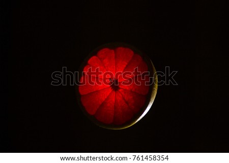 glowing citrus on a night background