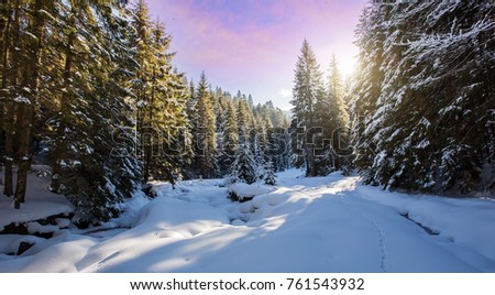 Fantastic winter mountain landscape. overcast colorful clouds, glowing in sunlight. alp trees, of snow covered , under in a warm sunlight. Dramatic wintry scene. Beauty on the world. creative image