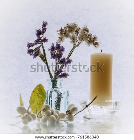 Winter still life with dried flowers