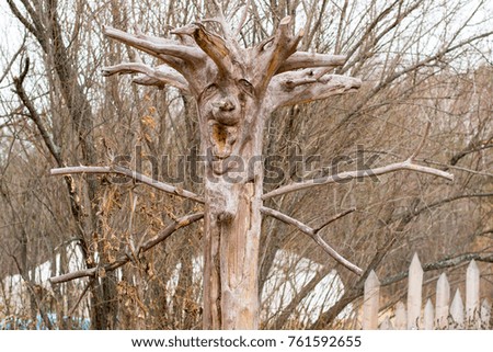Old tree monster in a forest. The spirit of the forest.