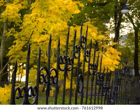 Metal grille fence in the park. Golden autumn. Yellow maple leaves. Autumn landscape.