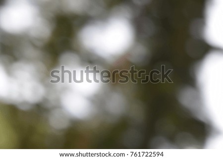 Abstract and Background In The Nature
