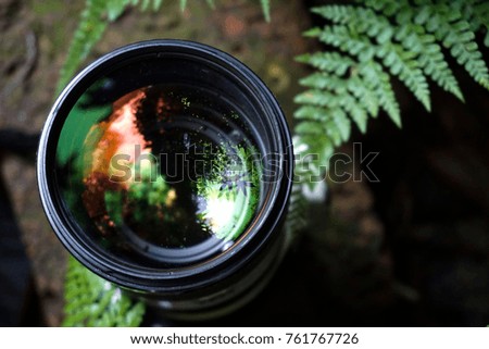 Camera lens with beautiful color lights reflections over nature green leaf background.