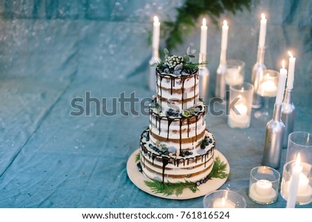 confectionary, dessert, party concept. marvelous cake composed of three tiers, all of them carefully decorated with leaves of different plants, berries and dark chocolate frosting