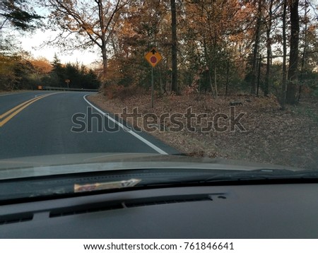 view from the car of road with fox dragging off raccoon or opossum roadkill from the road in autumn