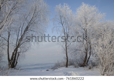 winter landscape with trees covered with hoarfrost, on the shore of a frozen lake, against the blue sky