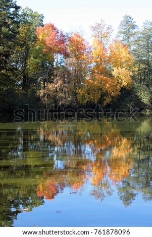 Trees reflection at the lake, autumn colours