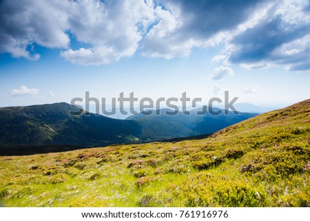 Awesome alpine highlands in sunny day. Location Carpathian national park, Ukraine, Europe. Picture of wild area. Scenic image of hiking concept. Superb tourism wallpapers. Explore the beauty of earth