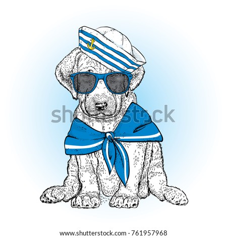A beautiful dog in sailor clothes. Vector illustration. Animal in clothes and accessories. A sailor in a cap and tie. Purebred puppy.