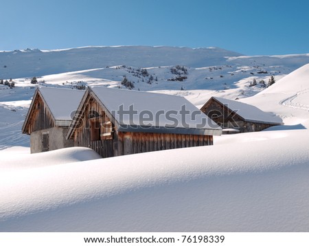 Alpine pasture in a winter landscape