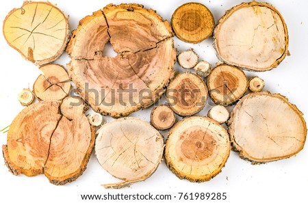 The texture is a roundwood tree of different diameters on a white background
