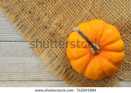 Miniature pumpkin on burlap background in horizontal format.  Shot in natural light.