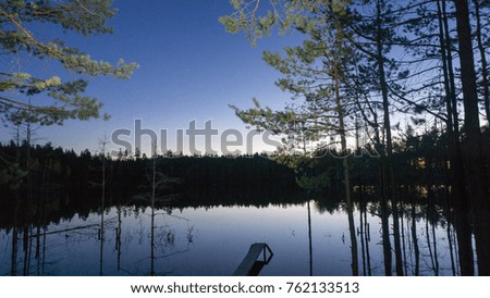 Lake in the night forest