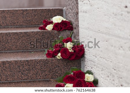 Red and white roses on the stone stairs