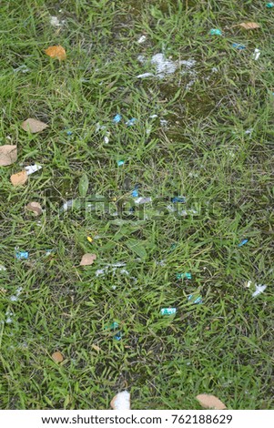 Lawn with green grass, fallen leaves of trees and festive confetti left after the holiday. Autumn background