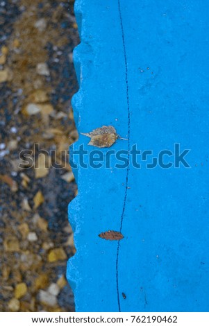 A blue concrete slab, a fence, a black pavement and fallen yellow leaves of trees. Autumn background