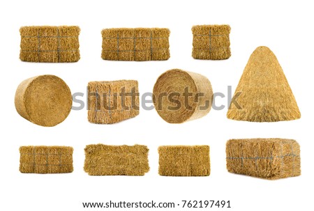 variety by hays isolated on a white background  Royalty-Free Stock Photo #762197491