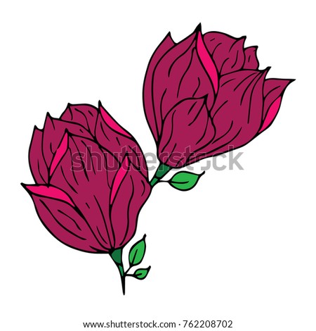 Magnolia vector illustration. Doodle style. Design, print, logo, decor, textile, paper