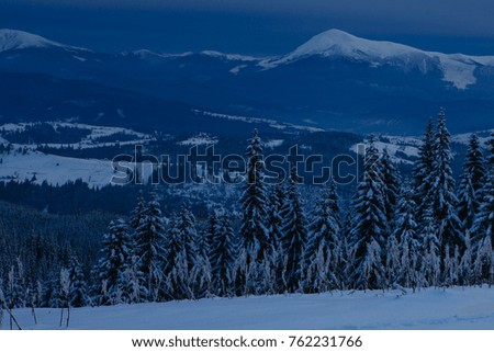 Beautiful Christmas nature background with snowy fir trees and blue mountains in winter. 