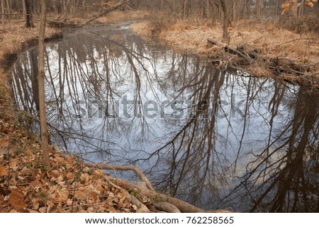 Reflection on water at a park in Pennsylvania