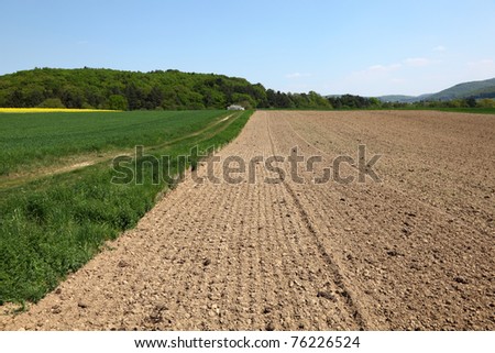 Rural landscape - plowed, field and a meadow