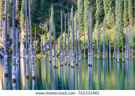 
Dried-out trunks of submerged Schrenk’s Spruce trees that rise above the water’s surface from the bottom of the lake.
The Sunken Forest of Lake Kaindy. Almaty region. Kazakhstan.
