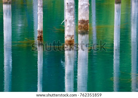 Reflection of trees on a green  background of lake.
Lake Kaindy, meaning the "birch tree lake"—is a 400-meter-long lake in Kazakhstan that reaches depths near 30 meters in some areas. 