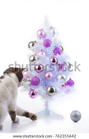 Cat with christmas tree. Domestic cat wants to play with christmas tree bauble Cat playing with christmas tree xmas ornaments bauble ball. White background.
