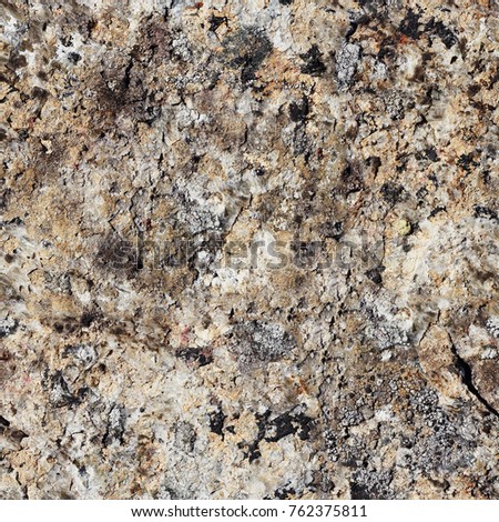 Natural seamless texture - rock surface pattern (Khibiny Mountains)