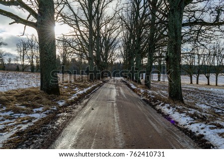 country road in winter with tyre tracks in the snow and ice