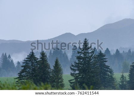 mountain area morning view in slovakia hills covered in mist and fog with lonely tree in foreground
