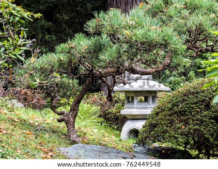 Japanese Tea Garden, Golden Gate Park, San Francisco, California, CA, USA