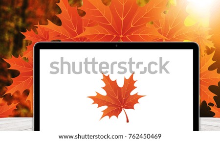 laptop with a white screen is lying on a table on the background of the autumn park