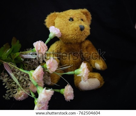 Teddy bear with pink flowers, black background