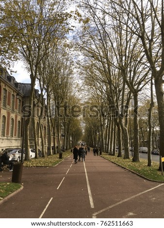 The way opposite the Versailles palace, Paris-France