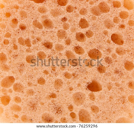 High-resolution sponge texture background