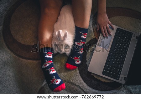 Beautiful woman with Bunny in a Christmas setting. Woman enjoying time with little Bunny

