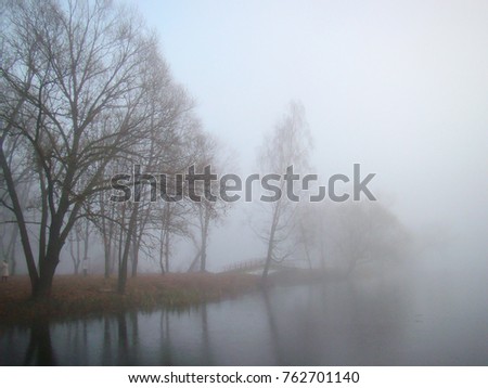 Foggy autumn park lake view