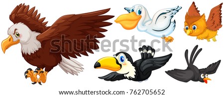 Different types of birds flying illustration