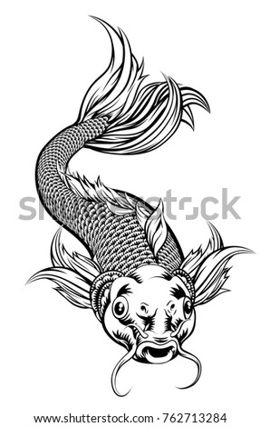 An illustration of a coy koi carp fish in a vintage woodcut style