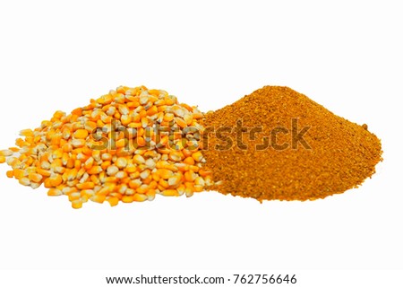 Corn and ddgs , biodiesel, biofuel,renewable energy, ethanol distilled,rich protein of animal feed ,quality nutrients on white isolate background Royalty-Free Stock Photo #762756646