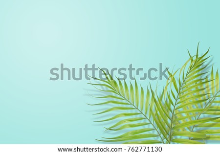 Tropical palm leaves on light blue background. Minimal nature. Summer Styled. Flat lay. Image is approximately 5500 x 3600 pixels in size.