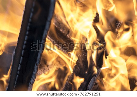 Fire and Frame with firewood