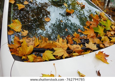 Car covered with autumn leaves. 