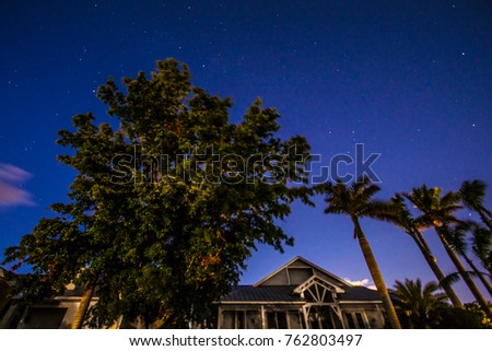 Stars in the Night Sky Over Palm Trees and Residential House